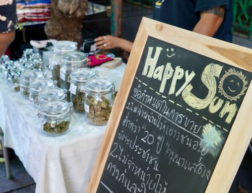 Green Growth: Navigating the Budding Cannabis Industry in Thailand